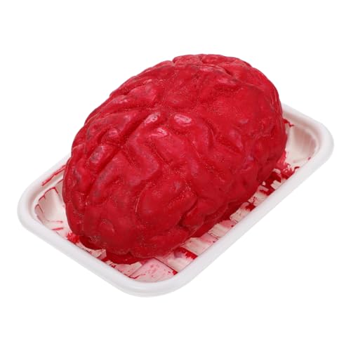 HEALSOPTHY Realistisches Halloween Deko Körperorgan Modell Gehirn und Herz aus Hochwertigem Kunststoff Gruseliges Horror für Halloween Party Dekoration und Partyzubehör HEALSOPTHY Realistisches Halloween Deko Körperorgan Modell Gehirn und Herz aus Hochwertigem Kunststoff Gruseliges Horror für Halloween Party Dekoration und Partyzubehör von HEALSOPTHY