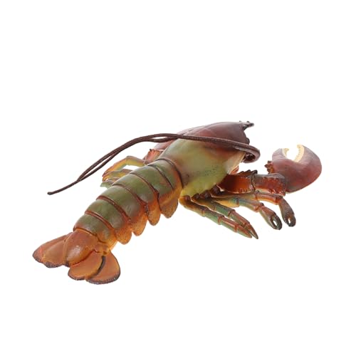 HEALSOPTHY Realistisches Hummer Modell Lernspielzeug Langlebiges Meerestier Figur Naturgetreues Design Pädagogisches Kreativspielzeug für Jungen und Mädchen von HEALSOPTHY