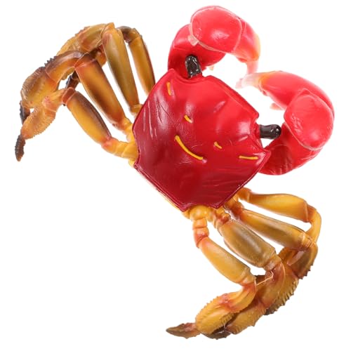 HEALSOPTHY Realistisches Krabbenmodell Kunststoff Deko Simulation Meeres Tier Figur Lernspielzeug Geschenk für Aquarium Dekoration von HEALSOPTHY
