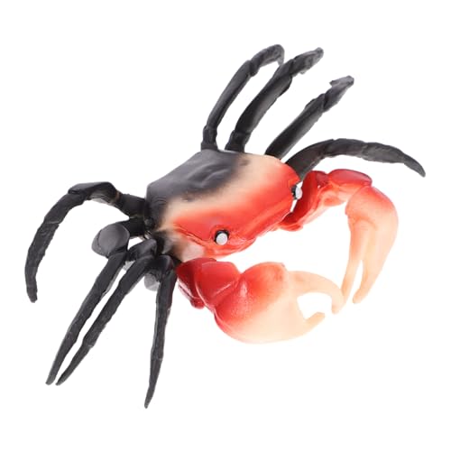 HEALSOPTHY Realistisches Krabbenmodell aus Detailgetreues Aquariumdeko Pädagogisches Krabbenspielzeug für Geeignet für Fischbecken und Terrarien HEALSOPTHY Realistisches Krabbenmodell aus Detailgetreues Aquariumdeko Pädagogisches Krabbenspielzeug für Geeignet für Fischbecken und Terrarien von HEALSOPTHY