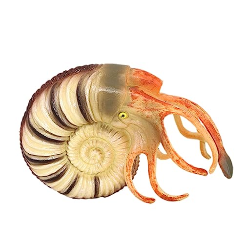 HEALSOPTHY Realistisches Nautilus Modell aus Leichtem Material Detailreiche Meeresbewohner Figur für Pädagogisches zur Umwelt und Tierkunde Dekoratives Ornament für Lernzwecke HEALSOPTHY Realistisches Nautilus Modell aus Leichtem Material Detailreiche Meeresbewohner Figur für Pädagogisches zur Umwelt und Tierkunde Dekoratives Ornament für Lernzwecke von HEALSOPTHY