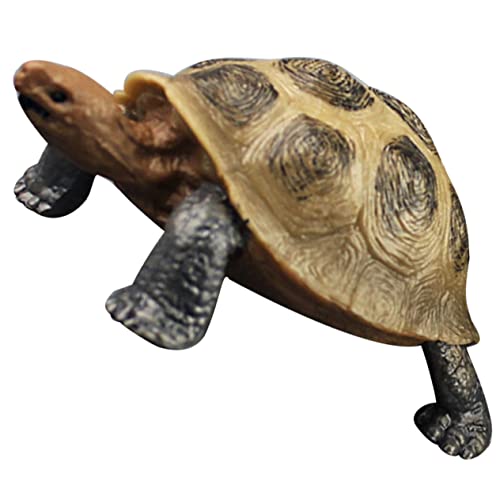 HEALSOPTHY Realistisches Schildkrötenmodell aus Dekorative Tortoise Figur für Garten und Innenräume Perfektes für Geschenkidee für Besondere Anlässe HEALSOPTHY Realistisches Schildkrötenmodell aus Dekorative Tortoise Figur für Garten und Innenräume Perfektes für Geschenkidee für Besondere Anlässe von HEALSOPTHY