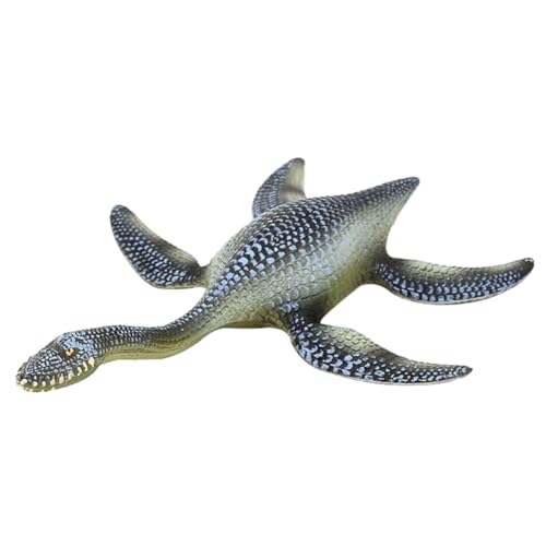 HEALSOPTHY Simulierter Plesiosaurier Kinderspielzeug Dinosaurier Realistische Lehrrequisite Pädagogisches Lebendiges Dinosaurier Modell Pädagogisches Dinosaurier Figur HEALSOPTHY Simulierter Plesiosaurier Kinderspielzeug Dinosaurier Realistische Lehrrequisite Pädagogisches Lebendiges Dinosaurier Modell Pädagogisches Dinosaurier Figur von HEALSOPTHY