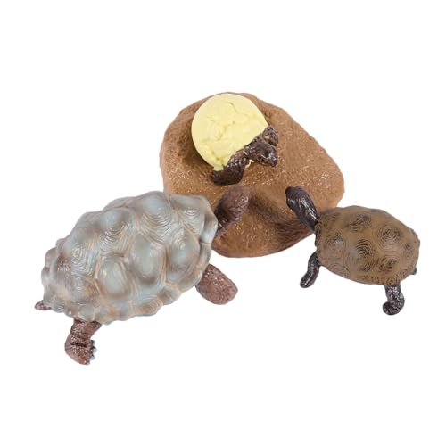 HEALSOPTHY Teiliges Schildkröten Wachstumszyklus Modellset aus Kunststoff Pädagogisches Lernspielzeug für Realistische Tierfiguren zur Naturerkennung Kreatives für Vorschulkinder HEALSOPTHY Teiliges Schildkröten Wachstumszyklus Modellset aus Kunststoff Pädagogisches Lernspielzeug für Realistische Tierfiguren zur Naturerkennung Kreatives für Vorschulkinder von HEALSOPTHY