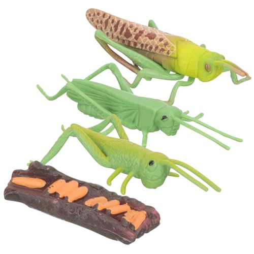 HEALSOPTHY Tierischer Wachstumszyklus Lernspielzeug Teiliges Realistische Insektenfiguren Montessori Frühe Bildung für Naturkunde Pädagogisches Tiermodell von HEALSOPTHY