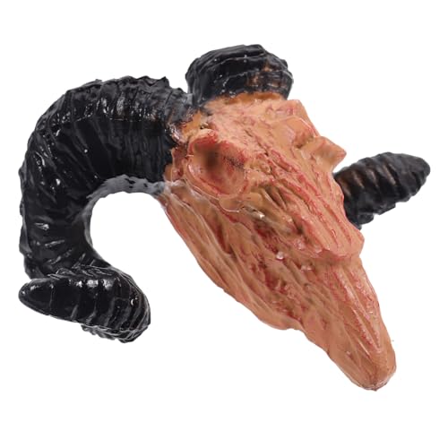 HEALSOPTHY Tierschädeldekoration gruseliges Tuch Gruselige Puppe winzig Halloween Dekoration Halloween-Dekoration Wall Art Decor Lustige Dekoration kleines Totenkopfdekor Plastikschädel HEALSOPTHY Tierschädeldekoration gruseliges Tuch Gruselige Puppe winzig Halloween Dekoration Halloween-Dekoration Wall Art Decor Lustige Dekoration kleines Totenkopfdekor Plastikschädel von HEALSOPTHY