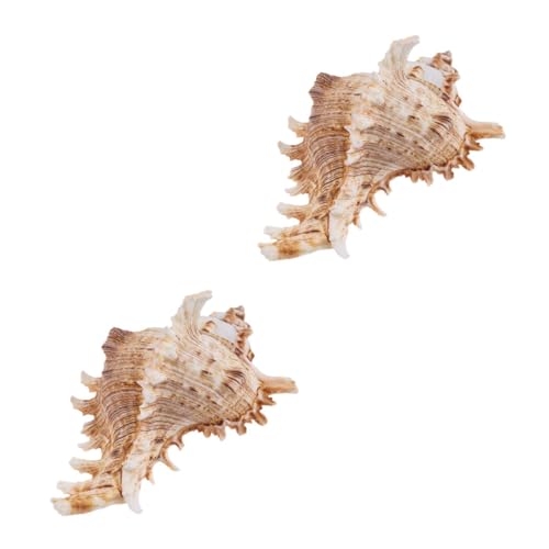 HEATSHAKING 2 Stück Natürliche Muschelornamente für Aquarien Dekorative Meereslandschaft für Süß und Salzwasserfische Große Conch Shell Adornments für Kreative Aquariengestaltung HEATSHAKING 2 Stück Natürliche Muschelornamente für Aquarien Dekorative Meereslandschaft für Süß und Salzwasserfische Große Conch Shell Adornments für Kreative Aquariengestaltung von HEATSHAKING