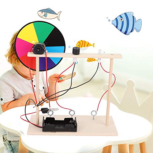 HEEPDD Physikalisches Prinzip-Spielzeug mit Klang, DIY-Holzsockel mit Buntem Scheiben-Sound-Licht, Pädagogisches Spielzeug, Ingenieurwissenschaften, für Geburtstagsgeschenke für 8 Bis von HEEPDD