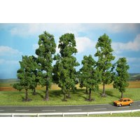 HEKI 1323 10 Buchen 10-18 cm HEKI 1323 10 Buchen 10-18 cm von HEKI
