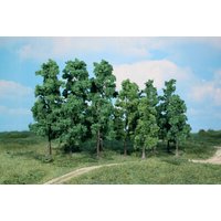 HEKI 1362 30 Laubbäume 12-18 cm HEKI 1362 30 Laubbäume 12-18 cm von HEKI