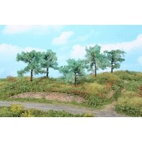 HEKI 1773 5 Olivenbäume 8-10 cm HEKI 1773 5 Olivenbäume 8-10 cm von HEKI