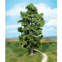 HEKI 1942 1 Felsenahorn 30 cm von HEKI