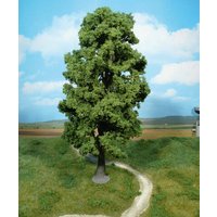 HEKI 1943 1 Bergahorn 35 cm HEKI 1943 1 Bergahorn 35 cm von HEKI