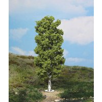 HEKI 1984 1 Birke 20 cm von HEKI