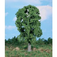 HEKI 1987 1 Eiche 20 cm von HEKI