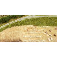 HEKI 3115 Schilf gebündelt 50 g HEKI 3115 Schilf gebündelt 50 g von HEKI