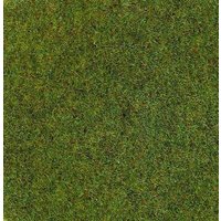 HEKI 3354 Grasfaser Sommerwiese, 20 g, 2-3 mm von HEKI