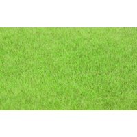 HEKI 33541 Grasfaser Willdgras Steppengras hell, 75 g, 5-6 mm HEKI 33541 Grasfaser Willdgras Steppengras hell, 75 g, 5-6 mm von HEKI
