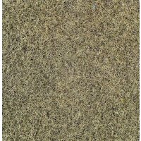 HEKI 3355 Grasfaser Wintergras, 20 g, 2-3 mm von HEKI