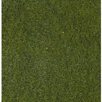 HEKI 3365 Grasfaser mittelgrün, 50 g, 2-3 mm HEKI 3365 Grasfaser mittelgrün, 50 g, 2-3 mm von HEKI