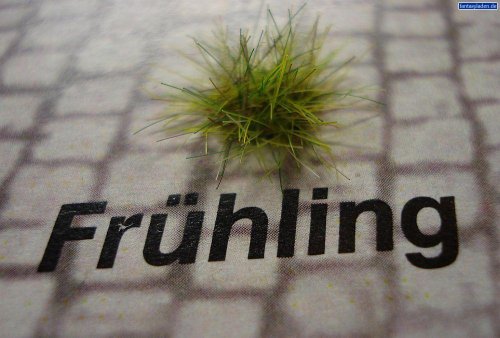 Heki Grasbüschel Frühling, 100 Stück, Höhe: 0,6 cm Heki Grasbüschel Frühling, 100 Stück, Höhe: 0,6 cm von HEKI