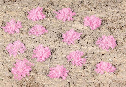 Heki 1825 100 Grasbüschel Lavendel, 5-6 mm - Spur H0 - Neu - OVP Heki 1825 100 Grasbüschel Lavendel, 5-6 mm - Spur H0 - Neu - OVP von HEKI