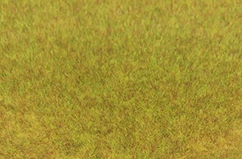 Heki 3371 Statisches Wildgras Herbst, Höhe 0,6 cm, Mehrfarbig von HEKI