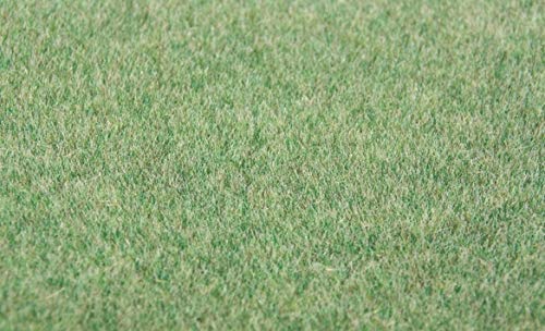 Heki HEK33542 Grasschneider, 75 g, 5-6 mm, Leiter: Heki HEK33542 Grasschneider, 75 g, 5-6 mm, Leiter: von HEKI