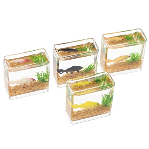 HEMOTON Lebensechtes Mini-Aquarium-Ornament-Set – 4-teilige Quadratische Aquarium-Dekorationen Perfekt Für Mini-kinderhäuser Und Aquarienpflanzen HEMOTON Lebensechtes Mini-Aquarium-Ornament-Set – 4-teilige Quadratische Aquarium-Dekorationen Perfekt Für Mini-kinderhäuser Und Aquarienpflanzen von HEMOTON