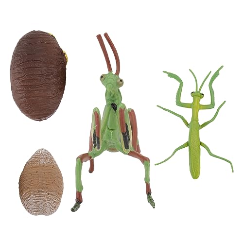 HEMOTON 1 Satz Dan Wachstums zyklus schrullig Styling-Dekoration Statuenmodell Herbstdekoration für kinderspielzeug Mantis-Modellspielzeug Tiere Figurenspielzeug PVC von HEMOTON