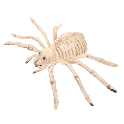 HEMOTON 1 Stück Halloween-Skelett-Geist-Spinnen-Skelett Halloween-Spinnennetz-Haarband Fangen Kontrolle Skelett- Halloween-Horror-Requisiten Figuren Riese Mantel Kostüm Beige Plastik HEMOTON 1 Stück Halloween-Skelett-Geist-Spinnen-Skelett Halloween-Spinnennetz-Haarband Fangen Kontrolle Skelett- Halloween-Horror-Requisiten Figuren Riese Mantel Kostüm Beige Plastik von HEMOTON
