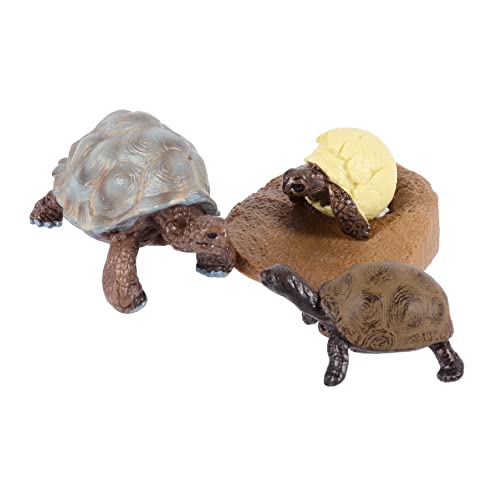 HEMOTON Interaktives Schildkröten-spielzeugset Für Kinder – 4-teilige Wachstumszyklus-Figuren Aus Kunststoff Einzigartiges Kognitives HEMOTON Interaktives Schildkröten-spielzeugset Für Kinder – 4-teilige Wachstumszyklus-Figuren Aus Kunststoff Einzigartiges Kognitives von HEMOTON