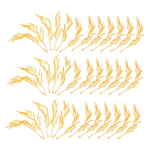 HEMOTON 100 Stücke Getrocknete Weizen Stiele Simulation Reis Ohren Faux Gras Modell Für Landschaftsbau HEMOTON 100 Stücke Getrocknete Weizen Stiele Simulation Reis Ohren Faux Gras Modell Für Landschaftsbau von HEMOTON