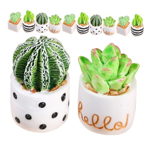 HEMOTON 12 Stück Teiliges Miniatur Sukkulenten aus Langlebigem Harz Realistische Kleine Künstliche Kaktusfiguren für Büro Regal als Dekorative Mini Garten oder Puppenhaus Accessoires von HEMOTON