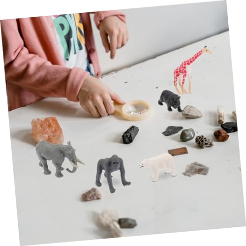 HEMOTON 12 Stücke Waldtiermodell Das Tier Minispielzeug Plastiktiere Tierspielzeug Zoospielzeug Waldtiere Waldtiere Dschungeltiere Figuren HEMOTON 12 Stücke Waldtiermodell Das Tier Minispielzeug Plastiktiere Tierspielzeug Zoospielzeug Waldtiere Waldtiere Dschungeltiere Figuren von HEMOTON