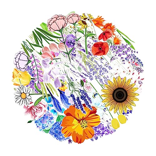 HEMOTON Aufkleber-Set – 150 Stück Blumen-Graffiti-Aufkleber Für Laptop Gitarre Gepäck Skateboard Und Journaling von HEMOTON