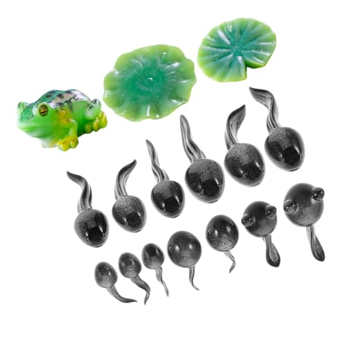 HEMOTON 16 Stück Teiliges Mini Frosch aus Robustem Harz Niedliche Frosch und Kaulquappenfiguren für Feengarten Mooslandschaft Terrarien Deko Kreative DIY Mikrolandschaften und HEMOTON 16 Stück Teiliges Mini Frosch aus Robustem Harz Niedliche Frosch und Kaulquappenfiguren für Feengarten Mooslandschaft Terrarien Deko Kreative DIY Mikrolandschaften und von HEMOTON