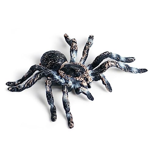 HEMOTON 2 Stück Mini-Spinnenmodell plastiktiere für Spinnenmodell Tierfiguren für Zoo-Enthusiasten simuliertes Spinnenmodell von HEMOTON