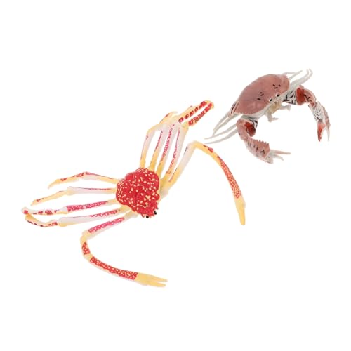 HEMOTON 2 Stück Realistische Krabben aus Kinderfreundlichem PVC Lebensechte Miniatur Ozeanfiguren für Kleinkinder Farbenfrohe Meeresbewohner Deko zur Frühkindlichen und Lernspaß HEMOTON 2 Stück Realistische Krabben aus Kinderfreundlichem PVC Lebensechte Miniatur Ozeanfiguren für Kleinkinder Farbenfrohe Meeresbewohner Deko zur Frühkindlichen und Lernspaß von HEMOTON