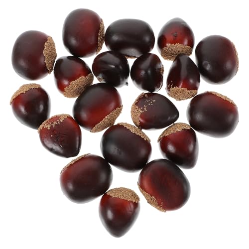 HEMOTON 20 Stück Künstliche Kastanien Künstliche Eicheln Simulationsnüsse Künstliche Eicheln Künstliche Kastanien Lebensechte Künstliche Nüsse Künstliche Mini Eicheln Künstliche HEMOTON 20 Stück Künstliche Kastanien Künstliche Eicheln Simulationsnüsse Künstliche Eicheln Künstliche Kastanien Lebensechte Künstliche Nüsse Künstliche Mini Eicheln Künstliche von HEMOTON
