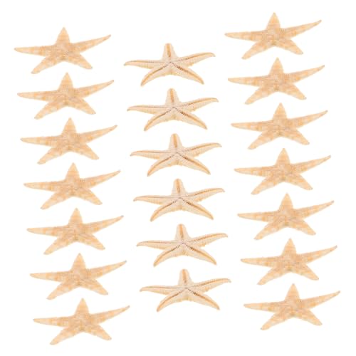 HEMOTON 20 Stück Teiliges Mini Seesterne für DIY Projekte Natürliche Seestern Statuen für Epoxidharz und Aromatherapie Kerzen Dekorationen für Strand und Hochzeitsdeko HEMOTON 20 Stück Teiliges Mini Seesterne für DIY Projekte Natürliche Seestern Statuen für Epoxidharz und Aromatherapie Kerzen Dekorationen für Strand und Hochzeitsdeko von HEMOTON