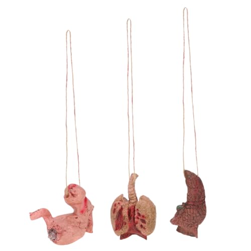 HEMOTON 3 Stück Halloween-simulations-orgel-anhänger Schwierige Requisiten Gruseliges Halloween- Halloween Hängende Körperteile Gruselige Anhänger Simulierte Organbehänge Emulsion von HEMOTON