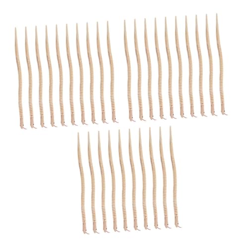 HEMOTON 30 Stck Teiliges Holz Schlangenspielzeug Bemalbar Realistisches Kindgerechtes Modell Sicher und Langlebig für Familienfeiern Geburtstagsdeko und Spielerisches Lernen HEMOTON 30 Stck Teiliges Holz Schlangenspielzeug Bemalbar Realistisches Kindgerechtes Modell Sicher und Langlebig für Familienfeiern Geburtstagsdeko und Spielerisches Lernen von HEMOTON