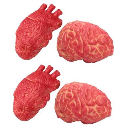 HEMOTON 4 Stck. Realistische Halloween Deko Teiliges Simulation Herz und Gehirn Blutige Körperorgane Horror Requisiten für Spukhaus Party Gruselige Halloween Dekoration HEMOTON 4 Stck. Realistische Halloween Deko Teiliges Simulation Herz und Gehirn Blutige Körperorgane Horror Requisiten für Spukhaus Party Gruselige Halloween Dekoration von HEMOTON