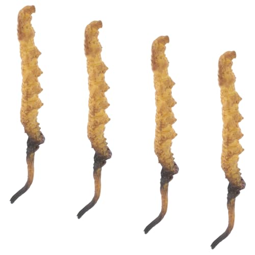 HEMOTON Your Chinese Pharmacy Decor 4-teiliges Cordyceps-Modell Genaue Anzeige Medizinisches Kit Für Ärzte von HEMOTON