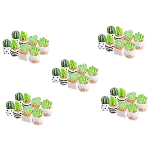 HEMOTON 40 STK Kaktus-Mikrolandschaft künstliche Mini-Sukkulente Puppenhaus mit Kunstpflanzenmodell Bookshelf Decor bücherregal Dekoration Wohnkultur Modelle Mini-Topfpflanze Mini-Kaktus von HEMOTON