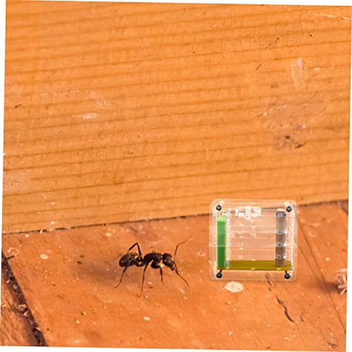 HEMOTON 5st Futterbox Für Ameisen Ameisenhalter Gehirnspielzeug Kinderspielzeug Ameisenhaus Mini-Spielzeug Ameisennest Ameisenfarm Im Kindergarten Spielzeuge Haustier Geschenk Acryl von HEMOTON
