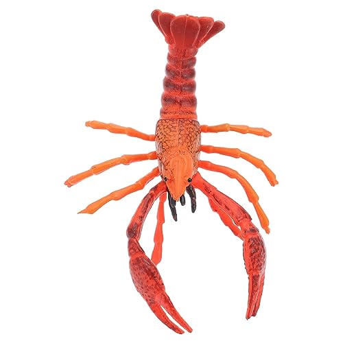 HEMOTON Hummer Modell Seejungen Krabbenspielzeug Hummertöpfe Kind Die Hummer Ornamente Für Angelspielzeug Hummerfiguren Hummerfiguren Hummerspielzeug Kunststoff Rot von HEMOTON