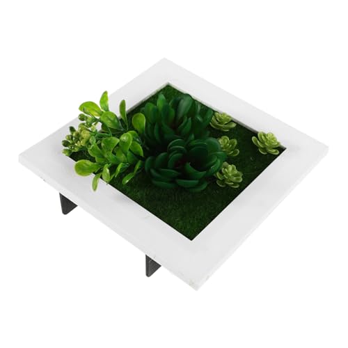 HEMOTON Künstliche Sukkulenten Wanddeko Realistisch Pflanzenrahmen Europäischer Wandblumentopf Pflegeleicht für Wohnzimmer Schlafzimmer Büro Kleine Räume HEMOTON Künstliche Sukkulenten Wanddeko Realistisch Pflanzenrahmen Europäischer Wandblumentopf Pflegeleicht für Wohnzimmer Schlafzimmer Büro Kleine Räume von HEMOTON