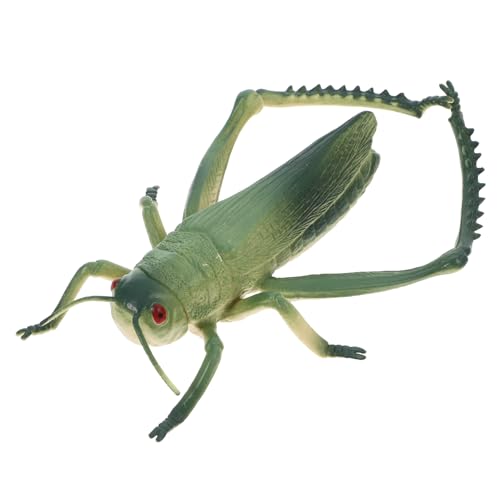 HEMOTON Lernspielzeug Für Insekten Fehler Für Realistisches Insektenspielzeug Cricket-streich Gefälschte Fehler Zikadenspielzeug Reptilienspielzeug Mini-tierfiguren Green PVC HEMOTON Lernspielzeug Für Insekten Fehler Für Realistisches Insektenspielzeug Cricket-streich Gefälschte Fehler Zikadenspielzeug Reptilienspielzeug Mini-tierfiguren Green PVC von HEMOTON